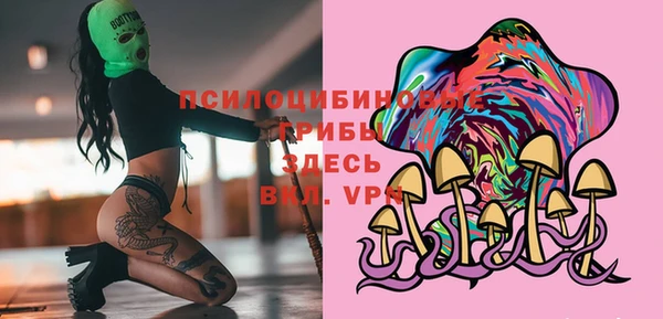 винт Алексин